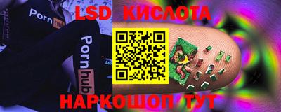 гидропоника Сланцы