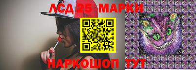 гидропоника Сланцы