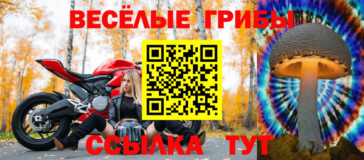 Псилоцибиновые грибы мицелий Новочеркасск