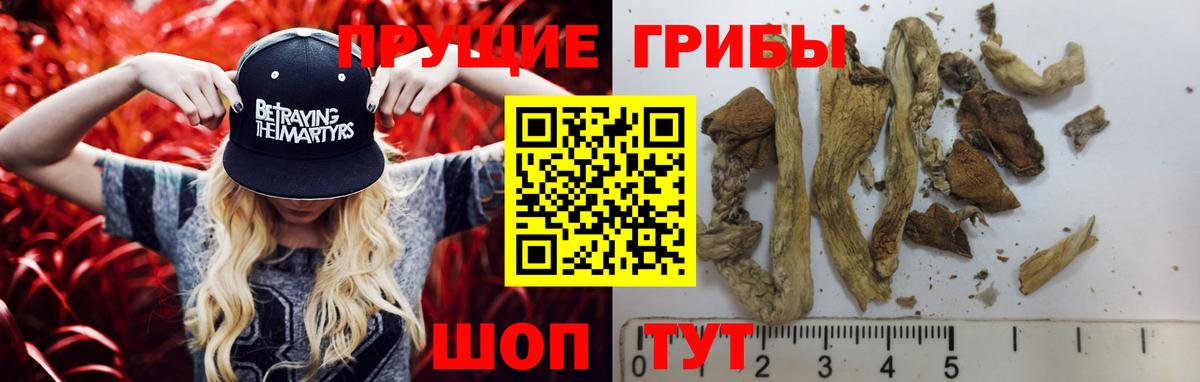Псилоцибиновые грибы Psilocybe  Вход с VPN  Новочеркасск  Галлюциногенные грибы ЛСД 